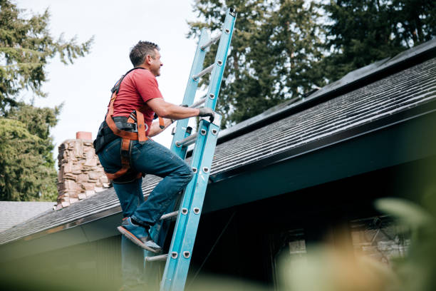 Best Gutter Installation and Repair  in Lexington, OH